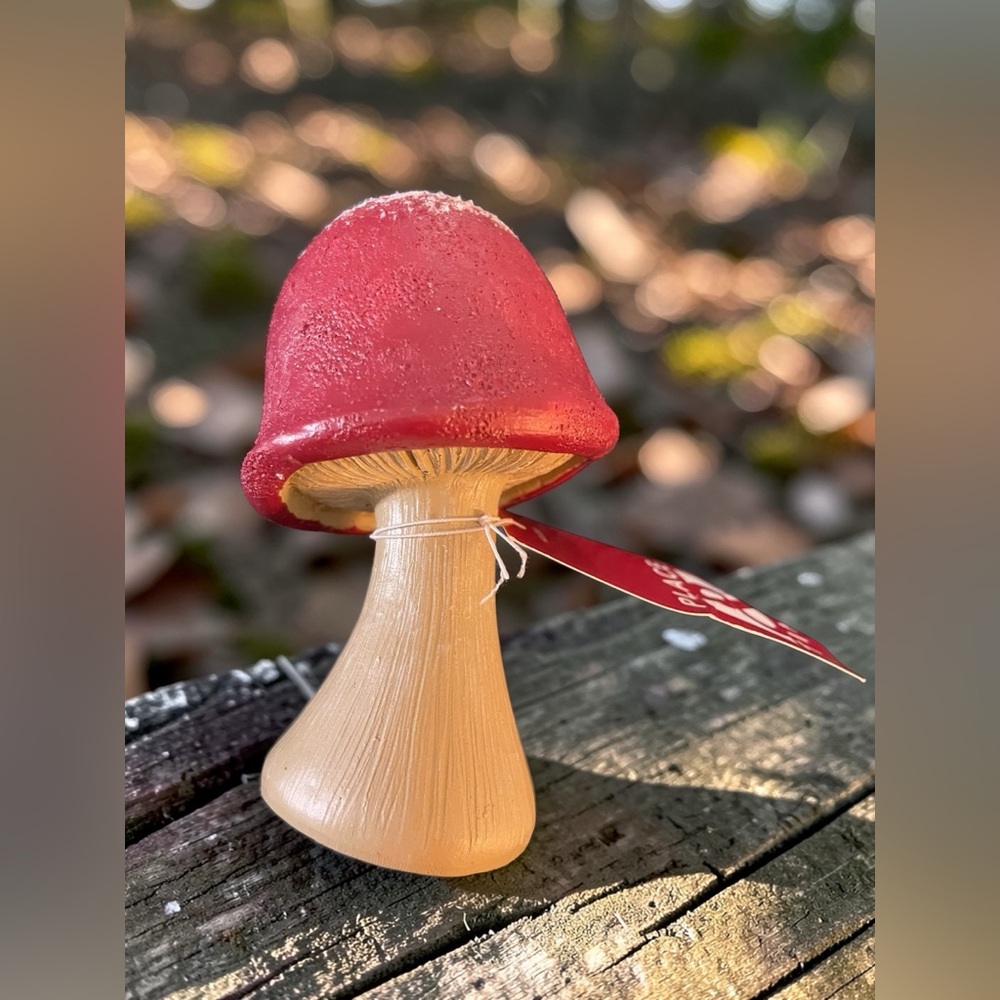 Red and Tan Mushroom Table Decor, NWT